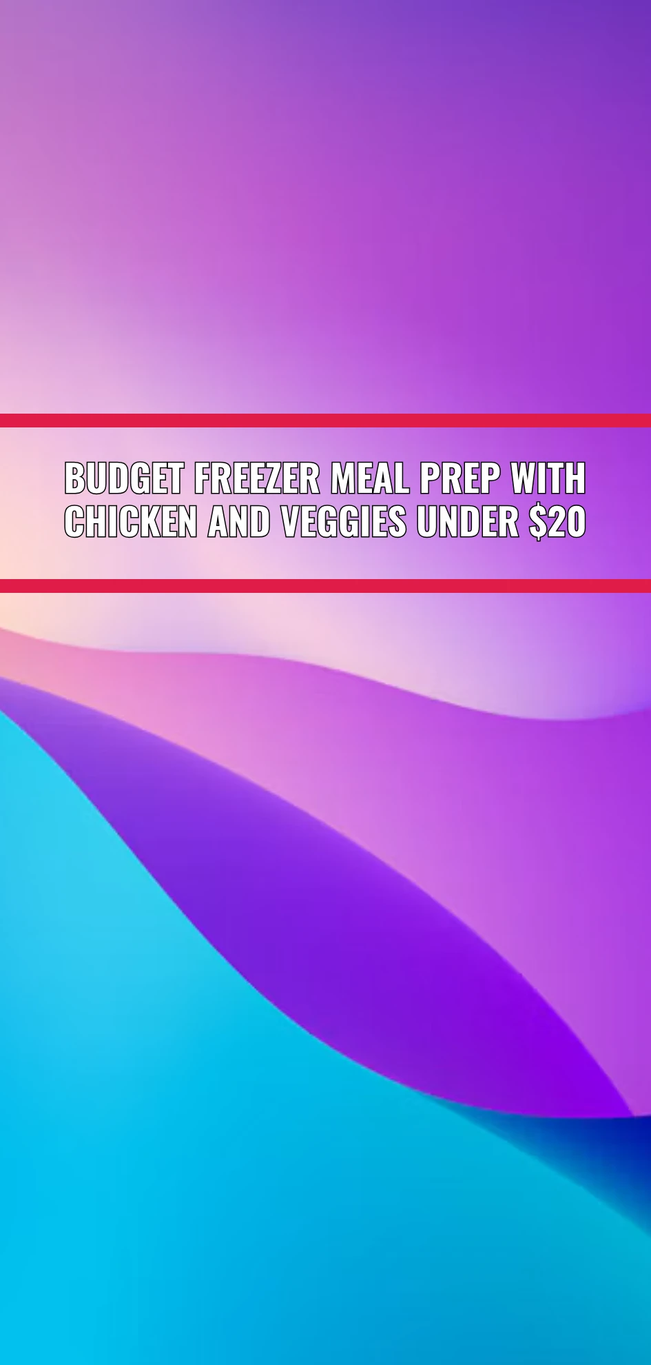 Budget Freezer Meal Prep With Chicken And Veggies Under $20