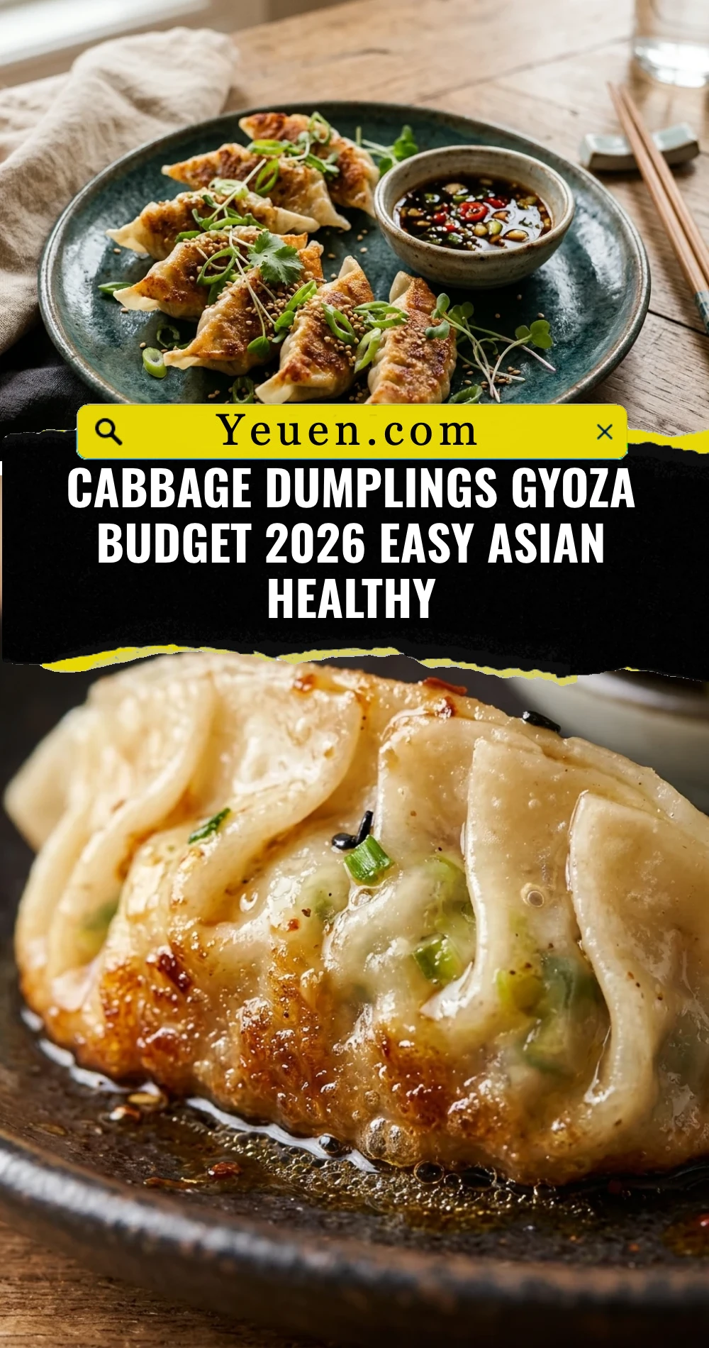 Cabbage Dumplings Gyoza Budget 2026 Easy Asian Healthy