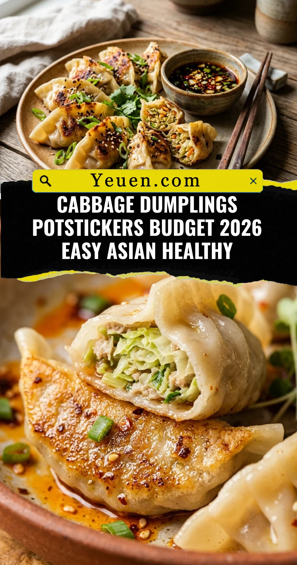 Cabbage Dumplings Potstickers Budget 2026 Easy Asian Healthy