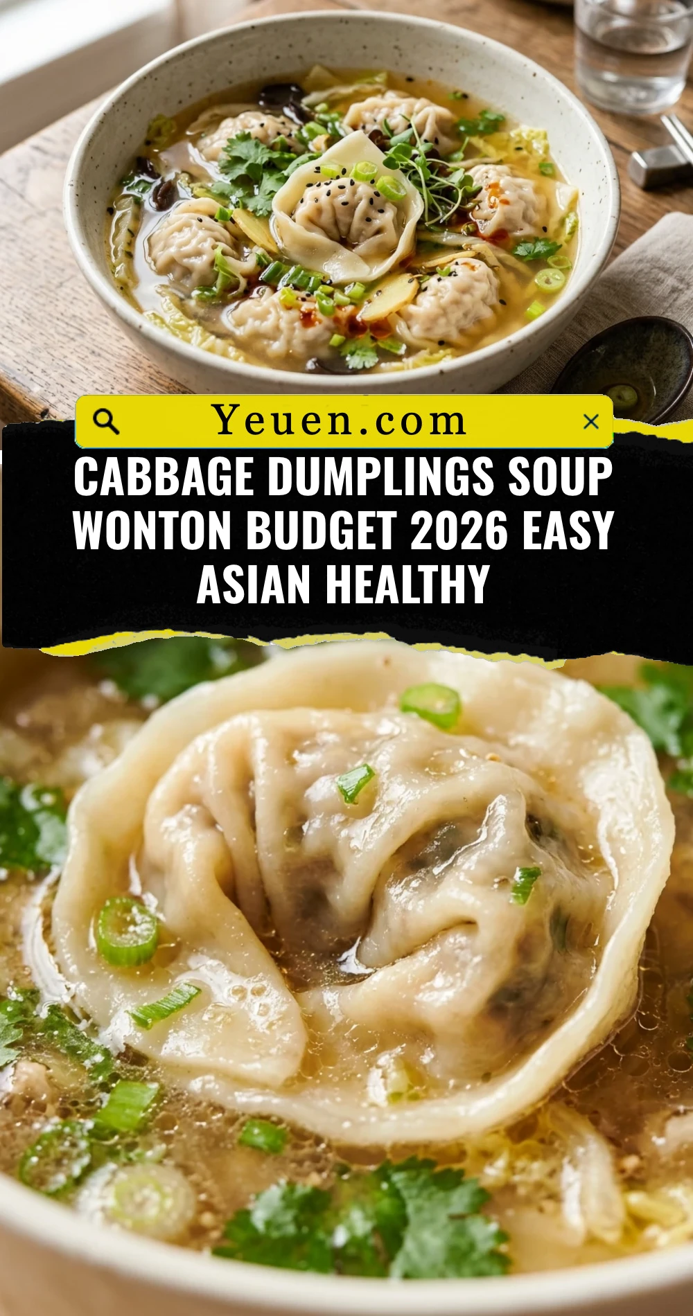 Cabbage Dumplings Soup Wonton Budget 2026 Easy Asian Healthy