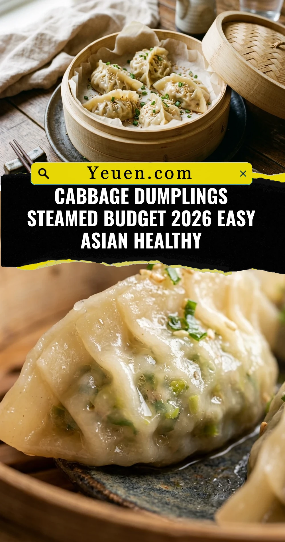 Cabbage Dumplings Steamed Budget 2026 Easy Asian Healthy