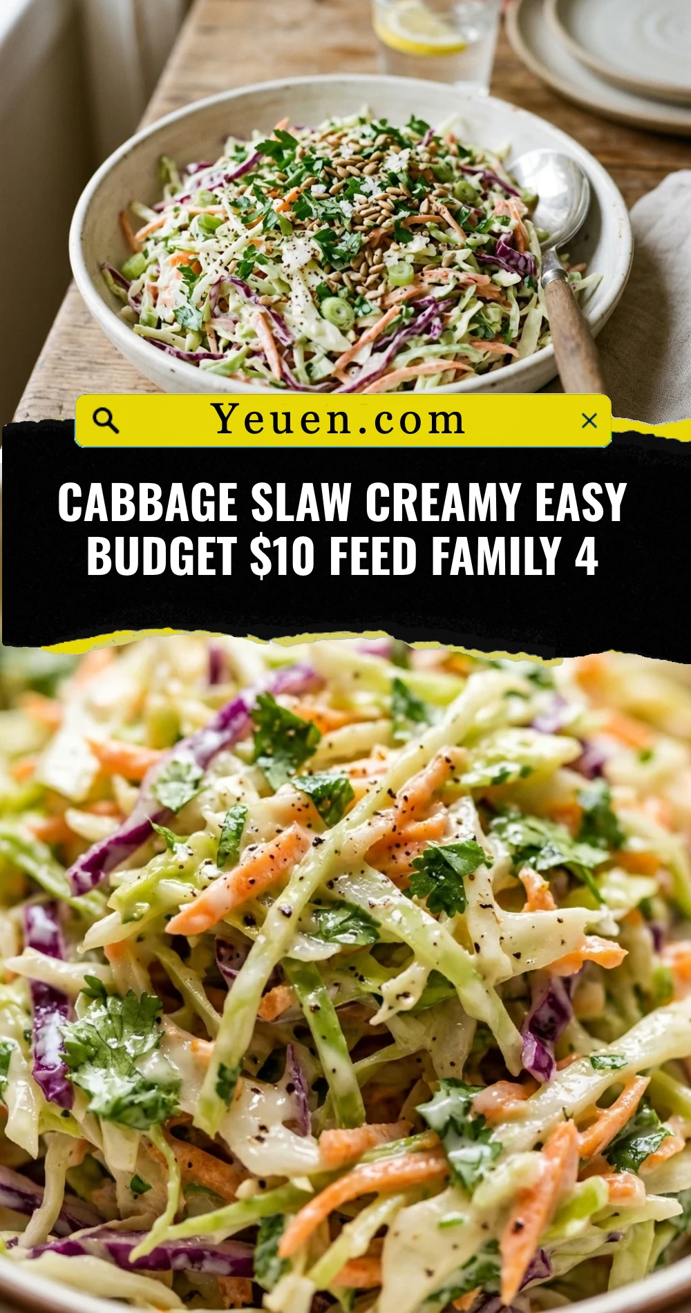 Cabbage Slaw Creamy Easy Budget $10 Feed Family 4