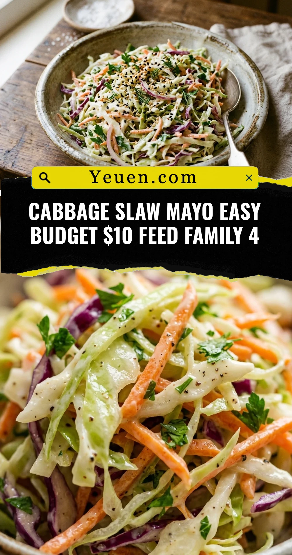 Cabbage Slaw Mayo Easy Budget $10 Feed Family 4