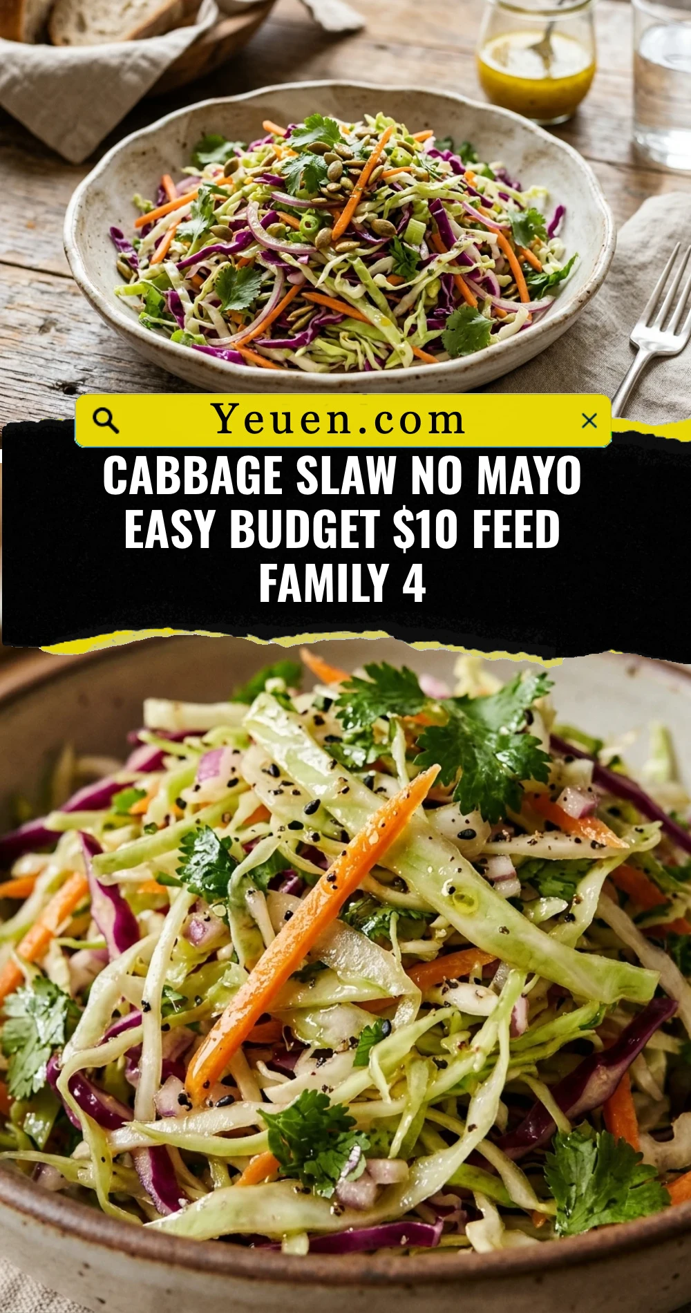 Cabbage Slaw No Mayo Easy Budget $10 Feed Family 4