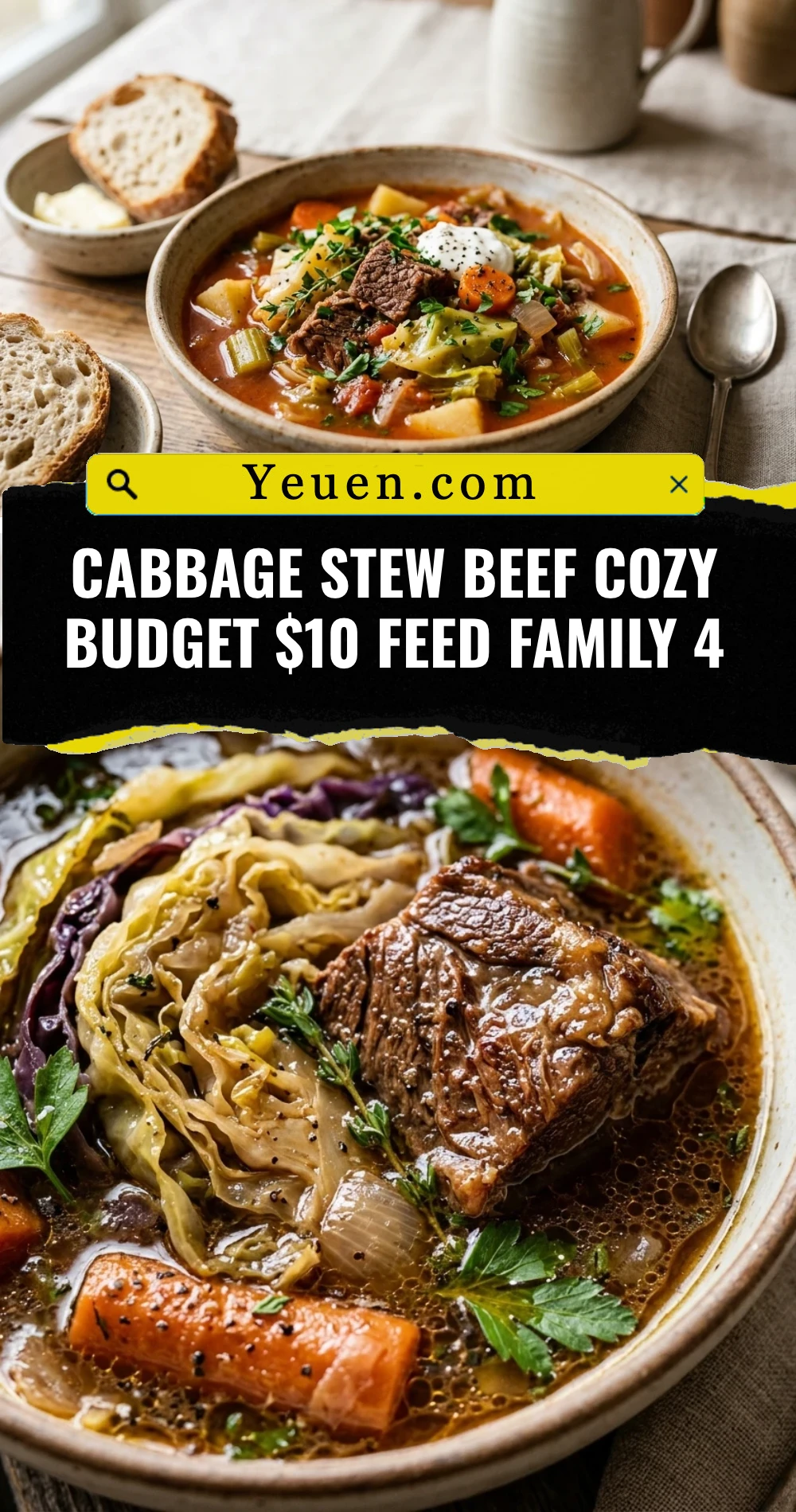 Cabbage Stew Beef Cozy Budget $10 Feed Family 4