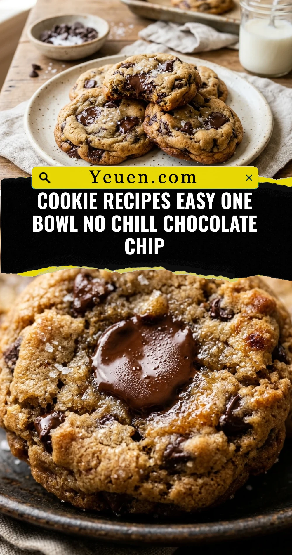 Cookie Recipes Easy One Bowl No Chill Chocolate Chip