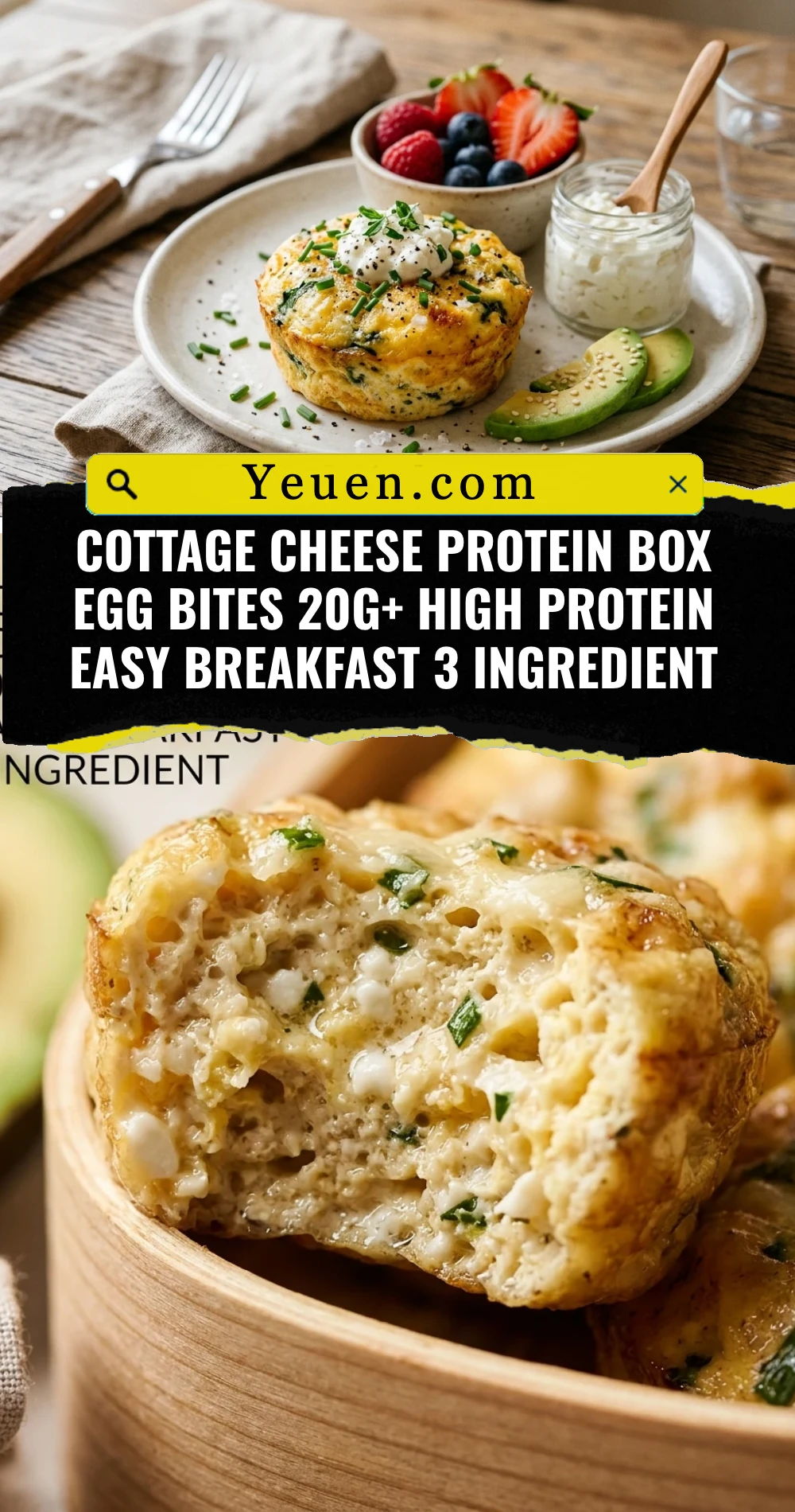 Cottage Cheese Protein Box Egg Bites 20g+ High Protein Easy Breakfast 3 Ingredient