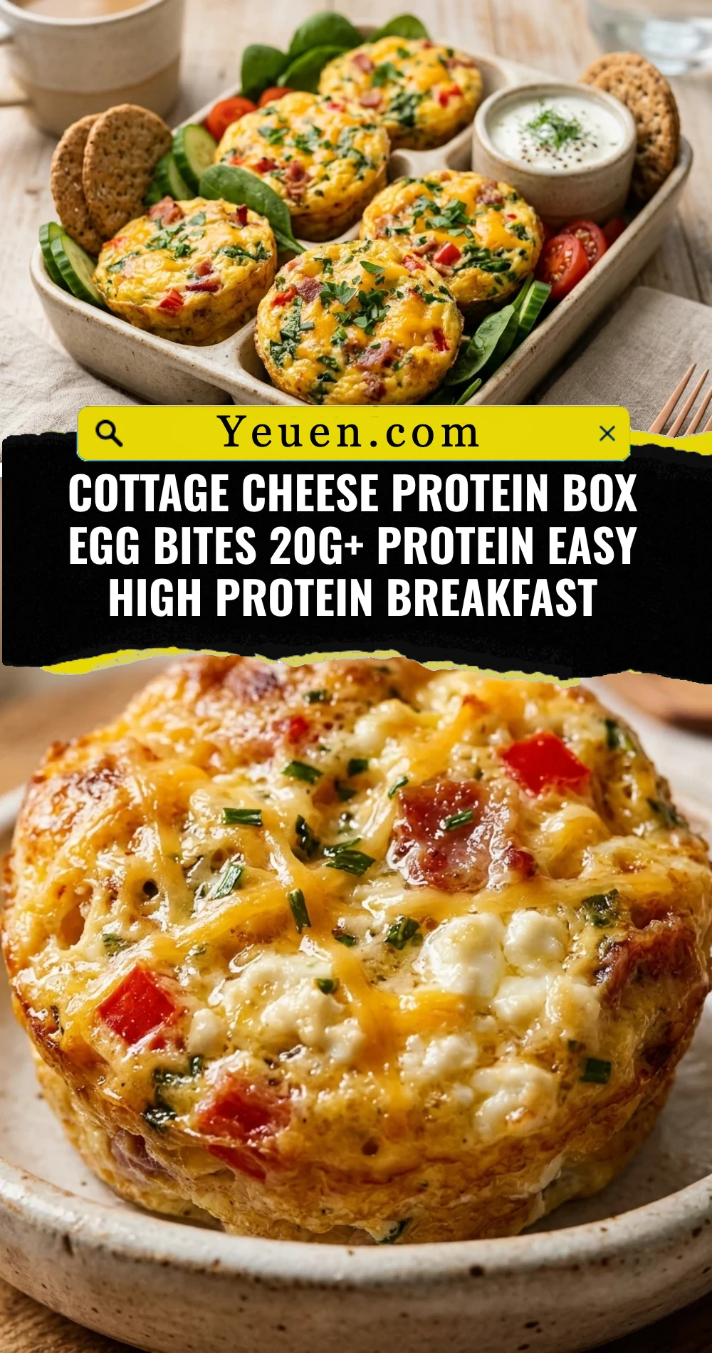 Cottage Cheese Protein Box Egg Bites 20g+ Protein Easy High Protein Breakfast