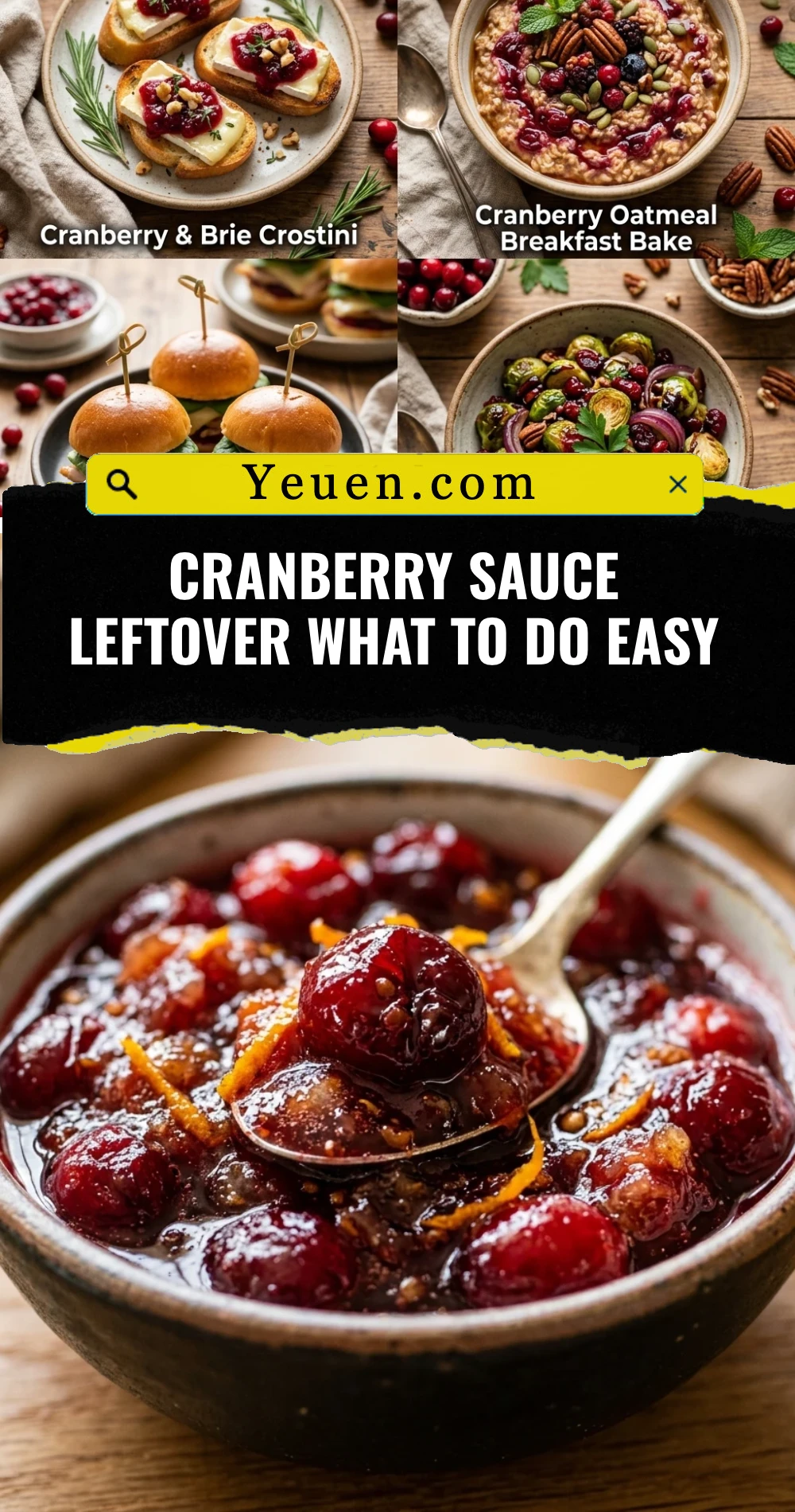 Cranberry Sauce Leftover What To Do Easy