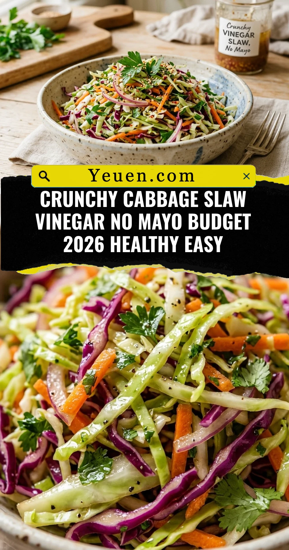 Crunchy Cabbage Slaw Vinegar No Mayo Budget 2026 Healthy Easy