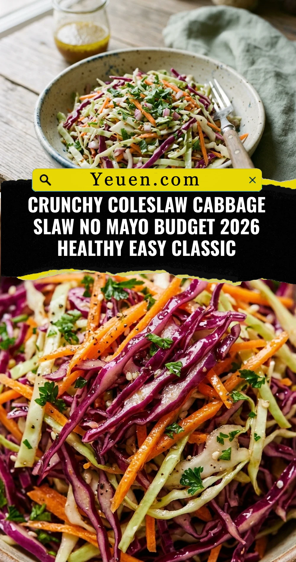 Crunchy Coleslaw Cabbage Slaw No Mayo Budget 2026 Healthy Easy Classic