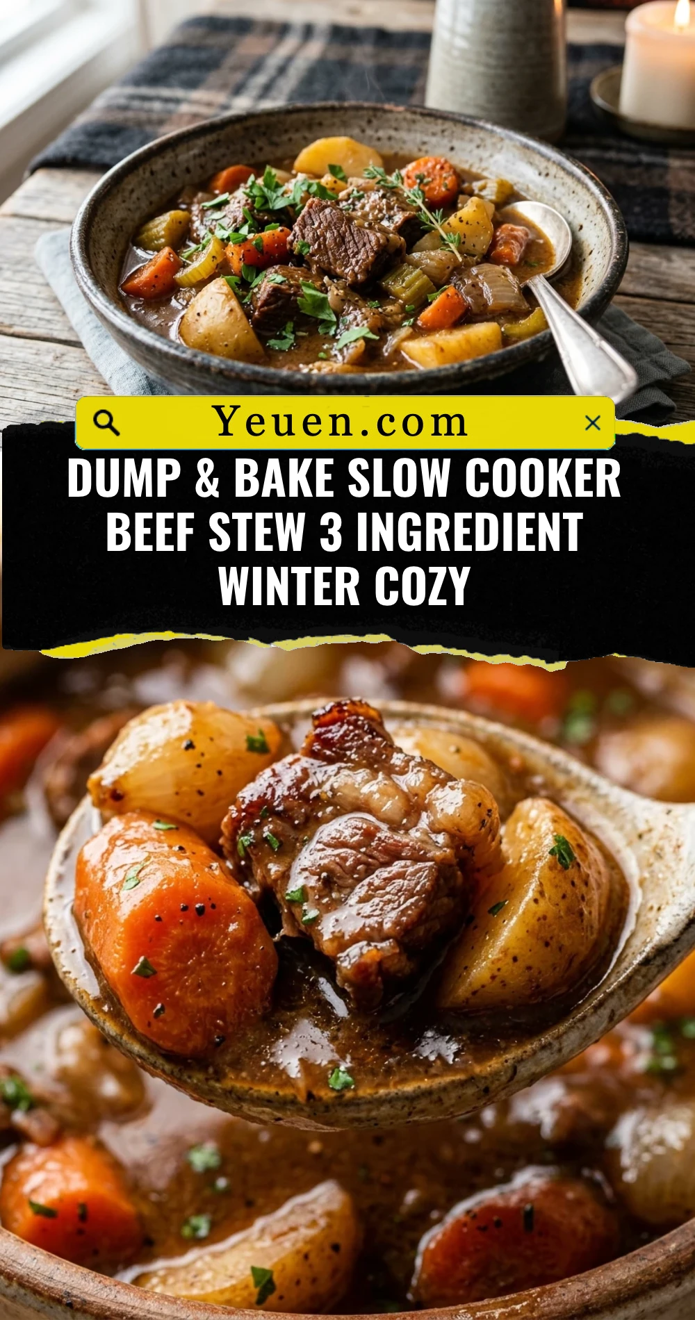 Dump & Bake Slow Cooker Beef Stew 3 Ingredient Winter Cozy