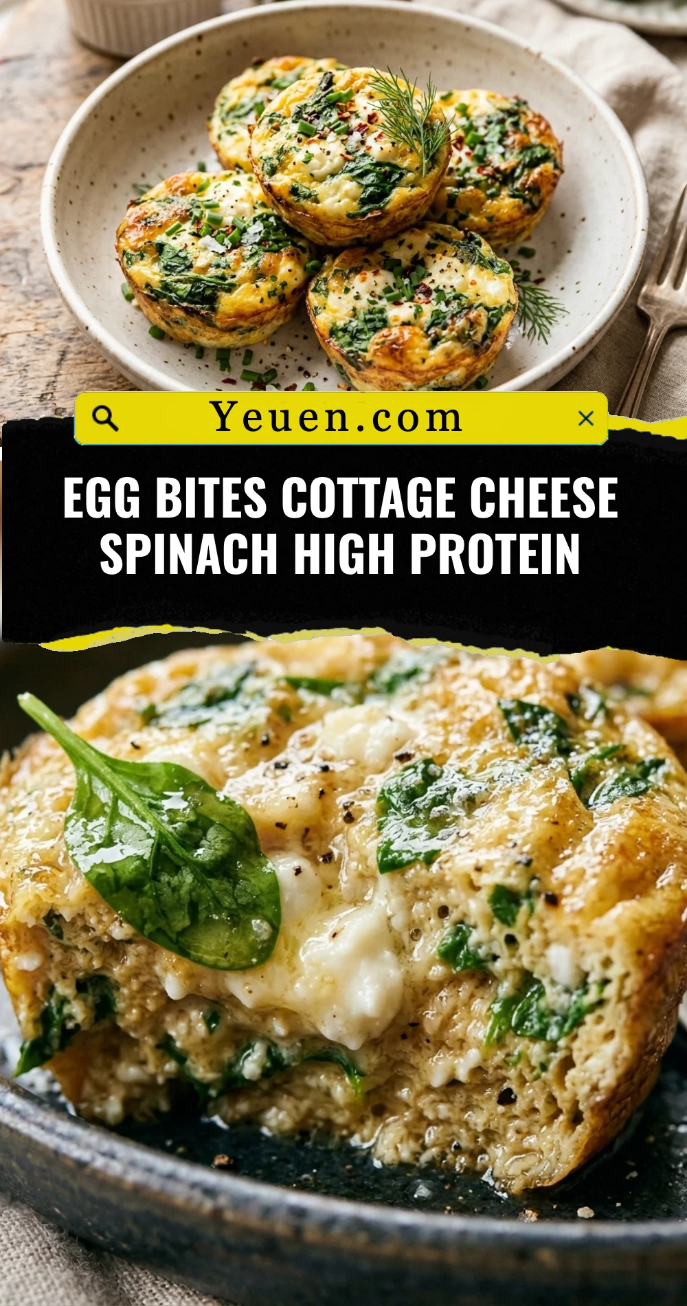 Egg Bites Cottage Cheese Spinach High Protein