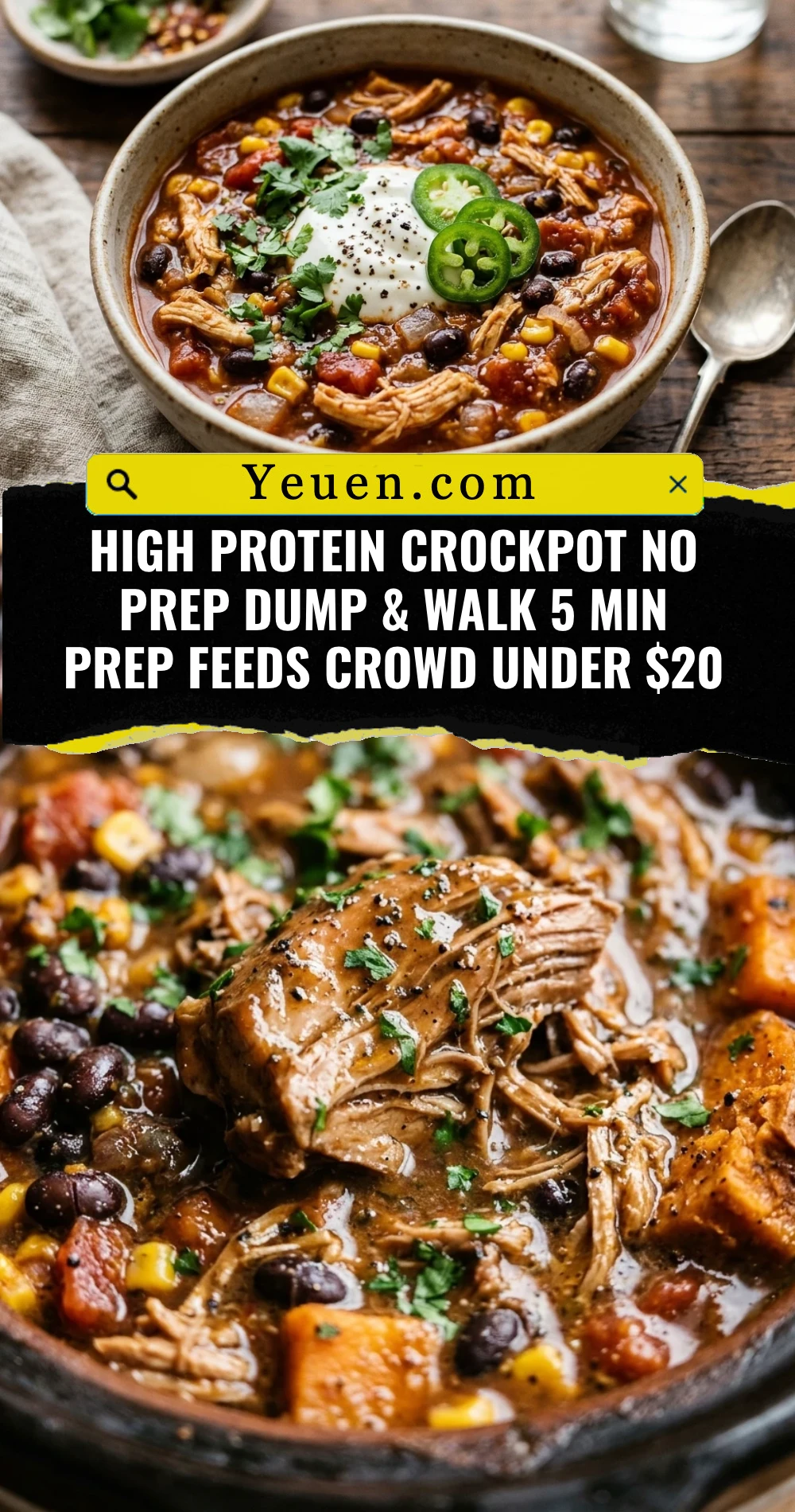 High Protein Crockpot No Prep Dump & Walk 5 Min Prep Feeds Crowd Under $20