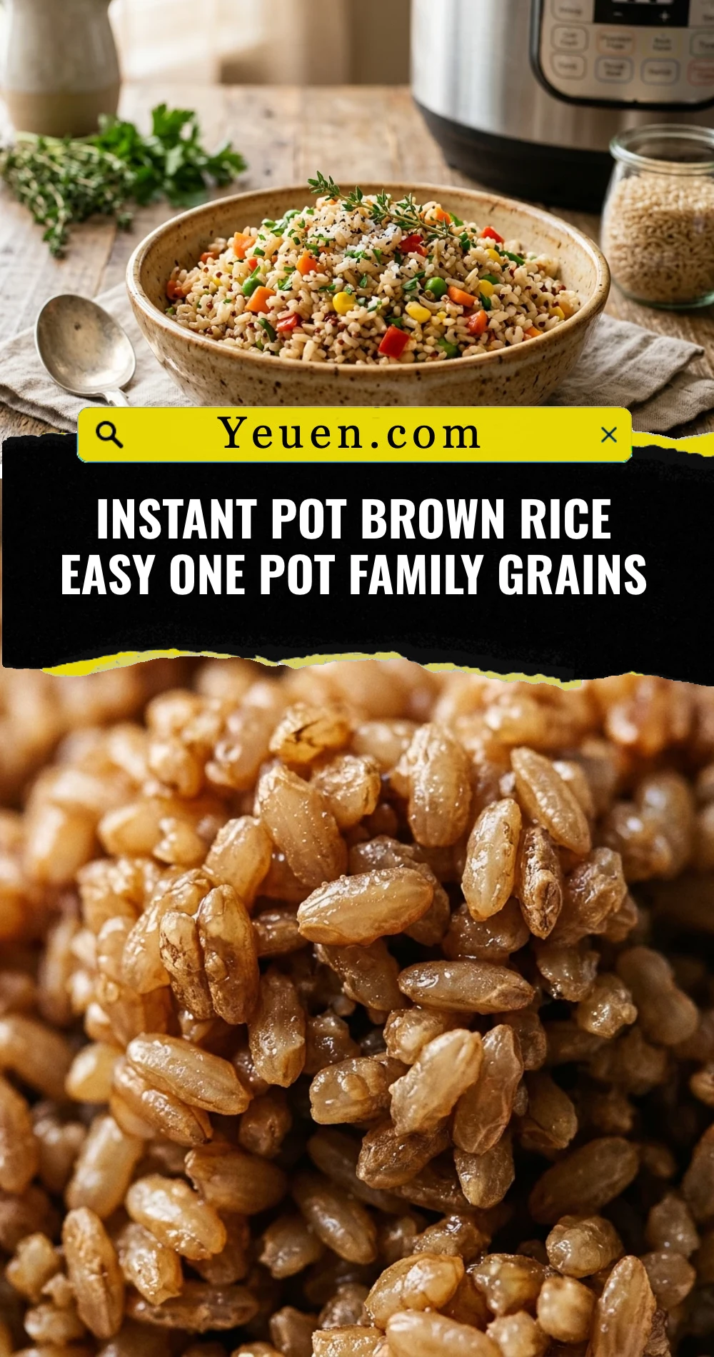 Instant Pot Brown Rice Easy One Pot Family Grains