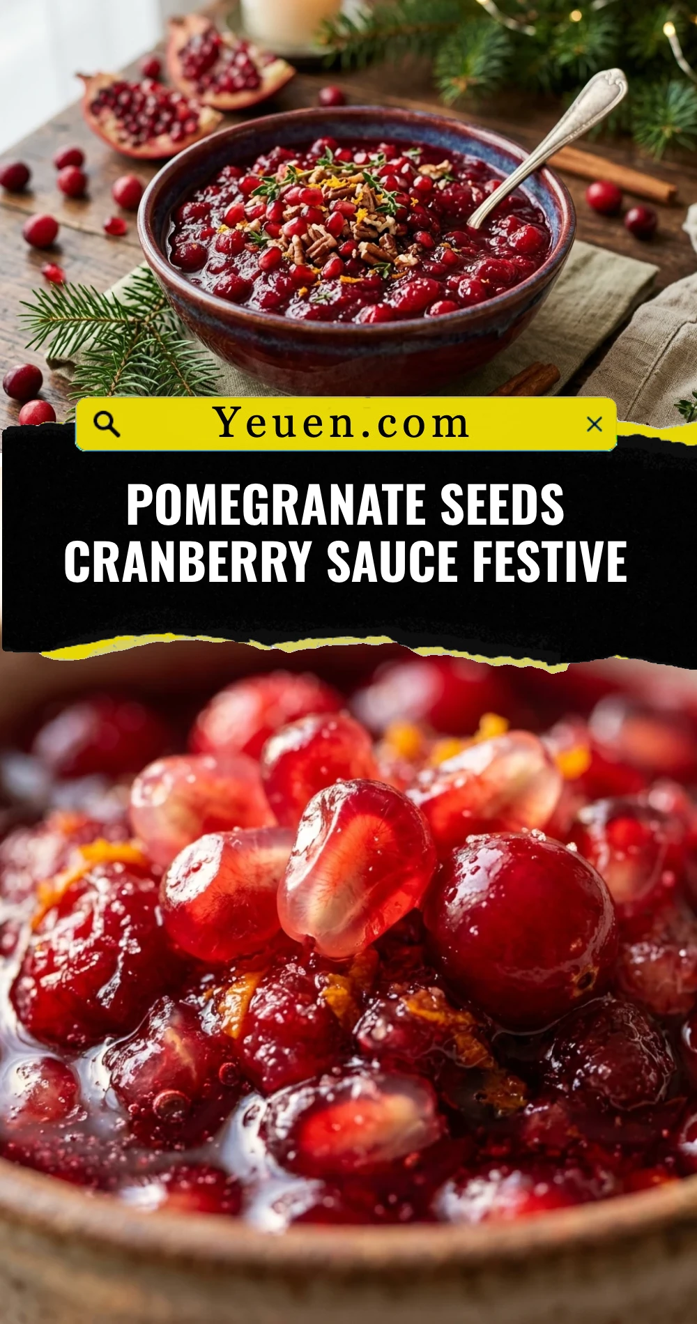 Pomegranate Seeds Cranberry Sauce Festive