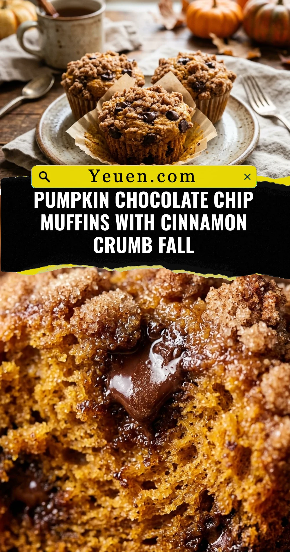 Pumpkin Chocolate Chip Muffins With Cinnamon Crumb Fall