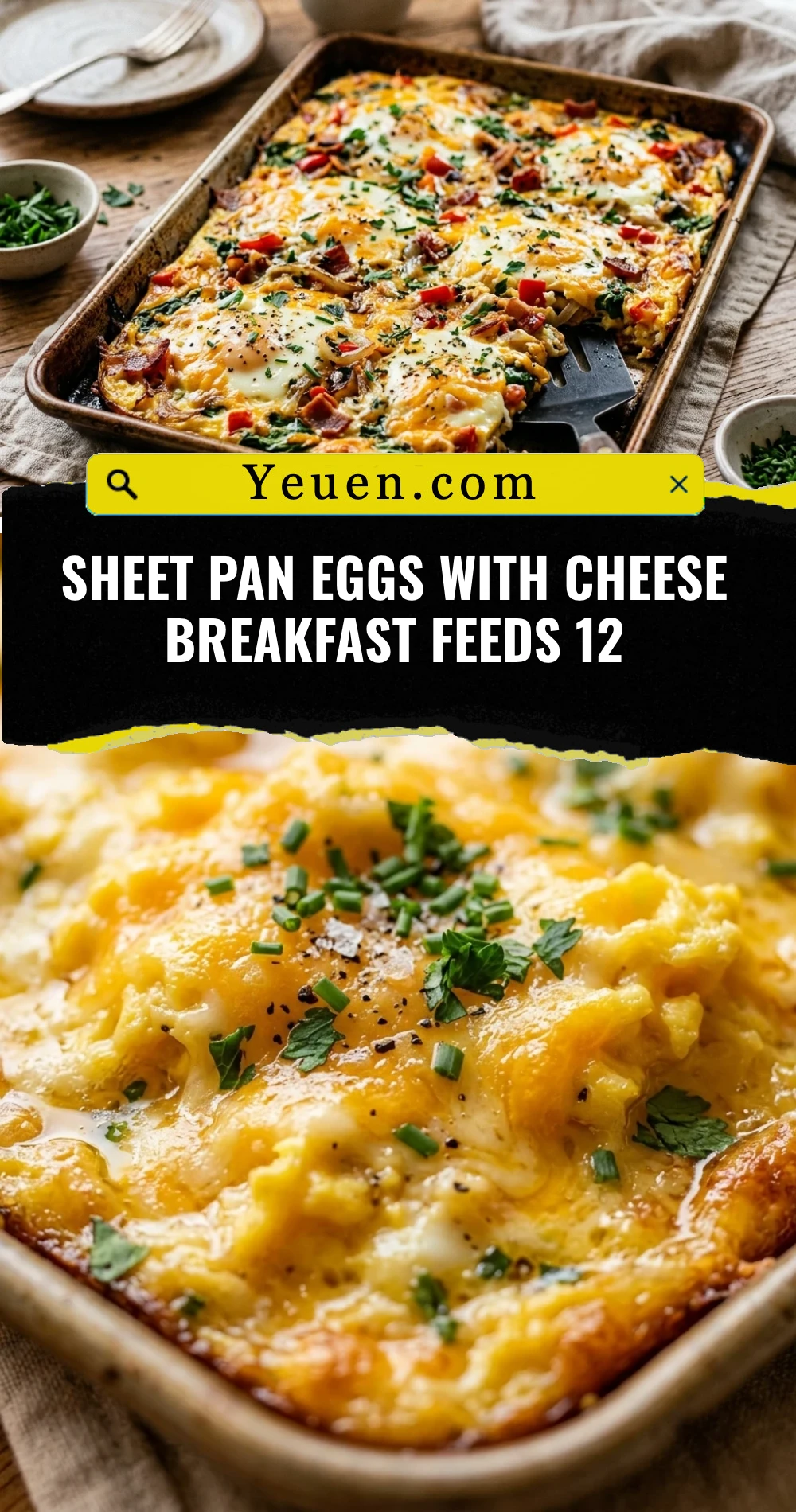 Sheet Pan Eggs With Cheese Breakfast Feeds 12