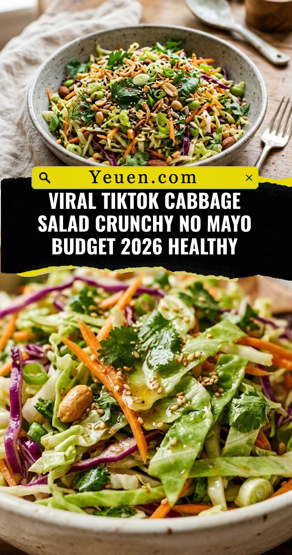 Viral TikTok Cabbage Salad Crunchy No Mayo Budget 2026 Healthy