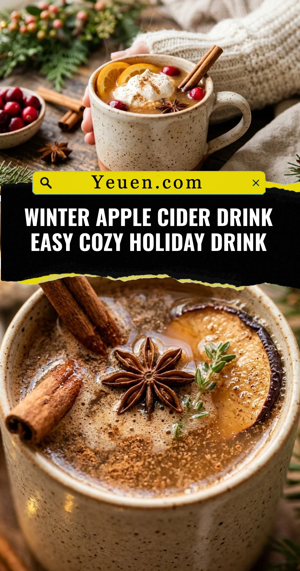 Winter Apple Cider Drink Easy Cozy Holiday Drink